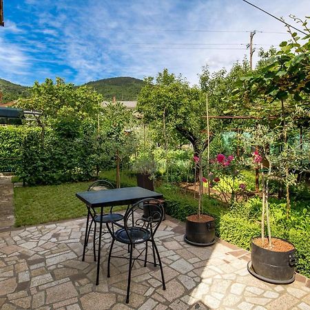Nice Apartment In Rukavac With Kitchen Kültér fotó